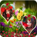 rose dual photo frame android application logo